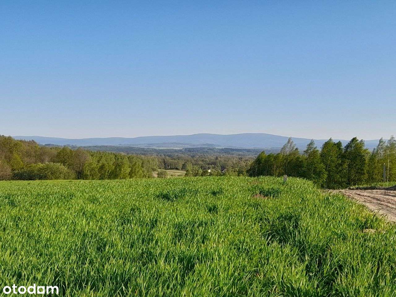 Działki Budowlane - Pełny obrazek: 3/18