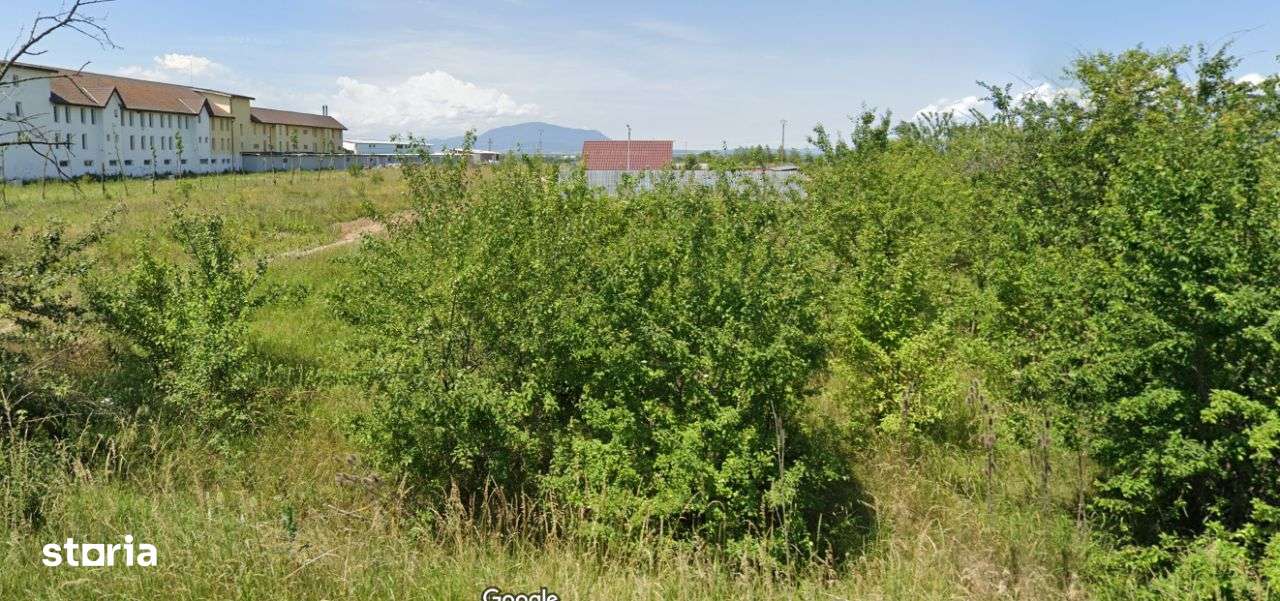 Teren Sanpetru intravilan acces din DJ - Imagine principală: 4/4