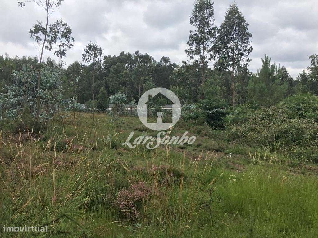 Terreno de construção com 9.500 m2 - São Romão do Coronado, Trofa - Grande imagem: 3/5