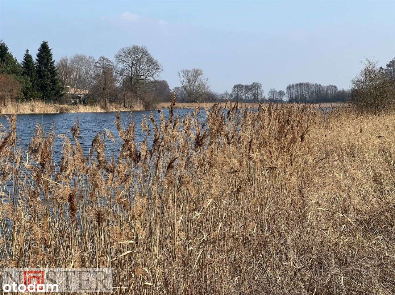 Wilanów - działka nad jeziorem-11