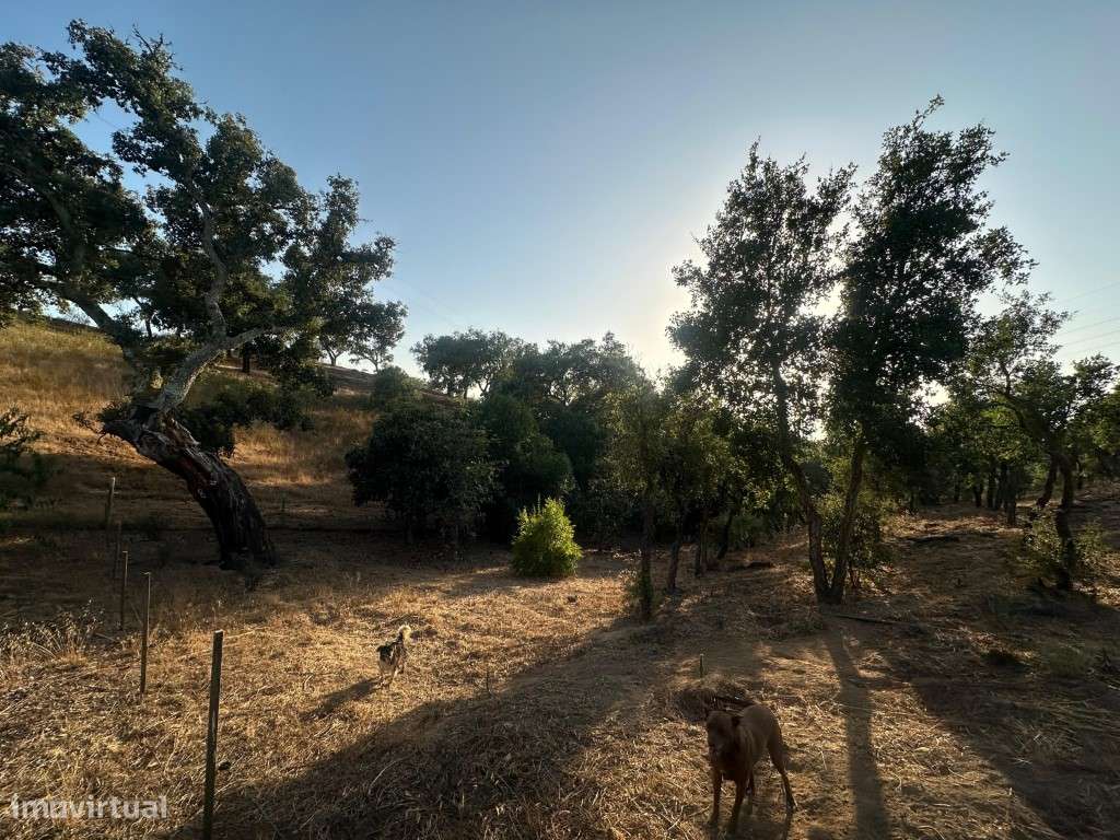 Monte Alentejano com 3,4 ha de natureza e potencial turístico-41