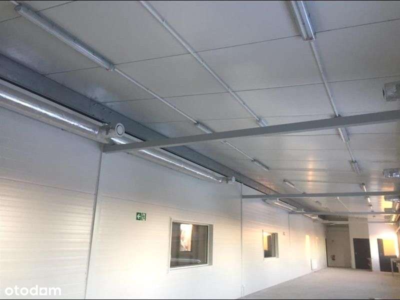 Hala magazynowo-produkcyjna z biurami - Pełny obrazek: 2/15