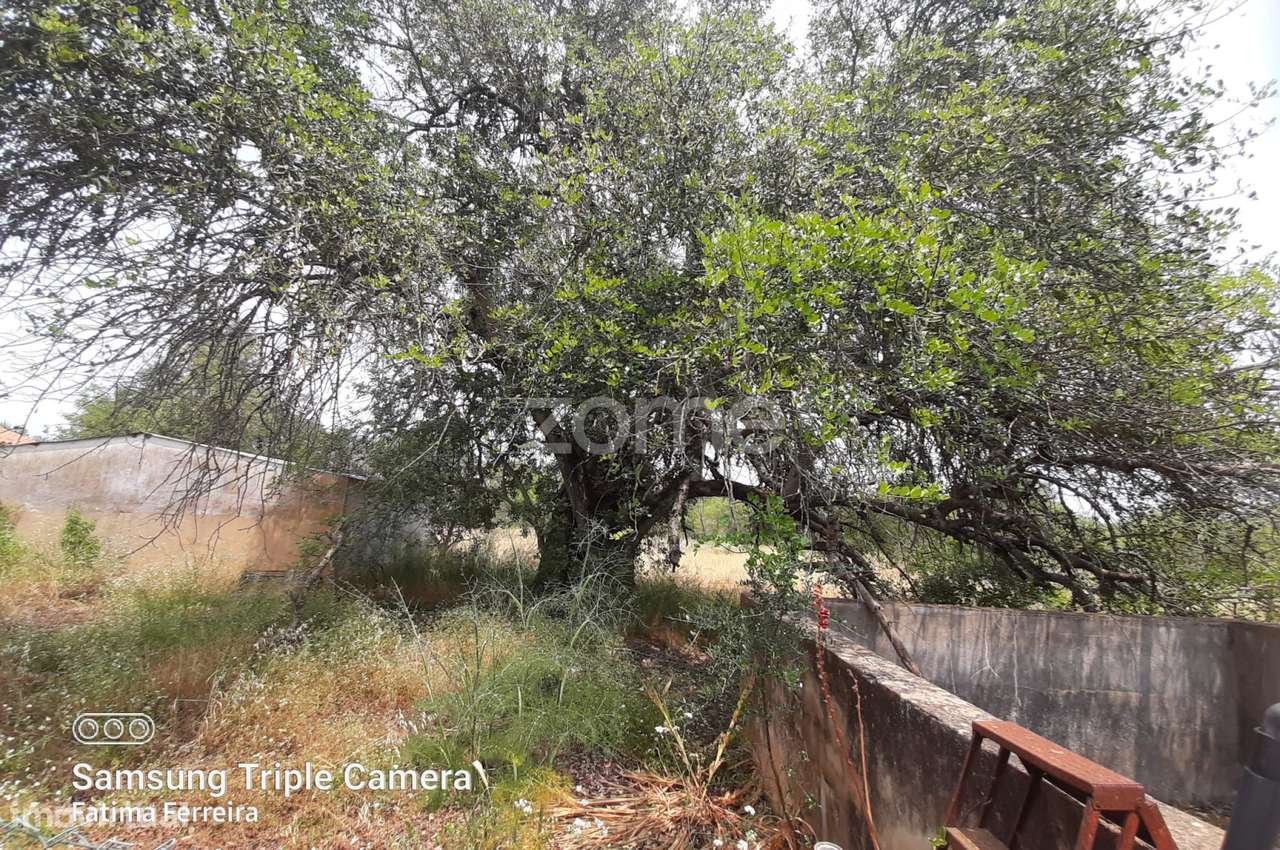 Moradia com terreno com 1ha - Grande imagem: 3/10