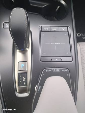 Lexus UX 300e 4X2 1AT Executive - 11