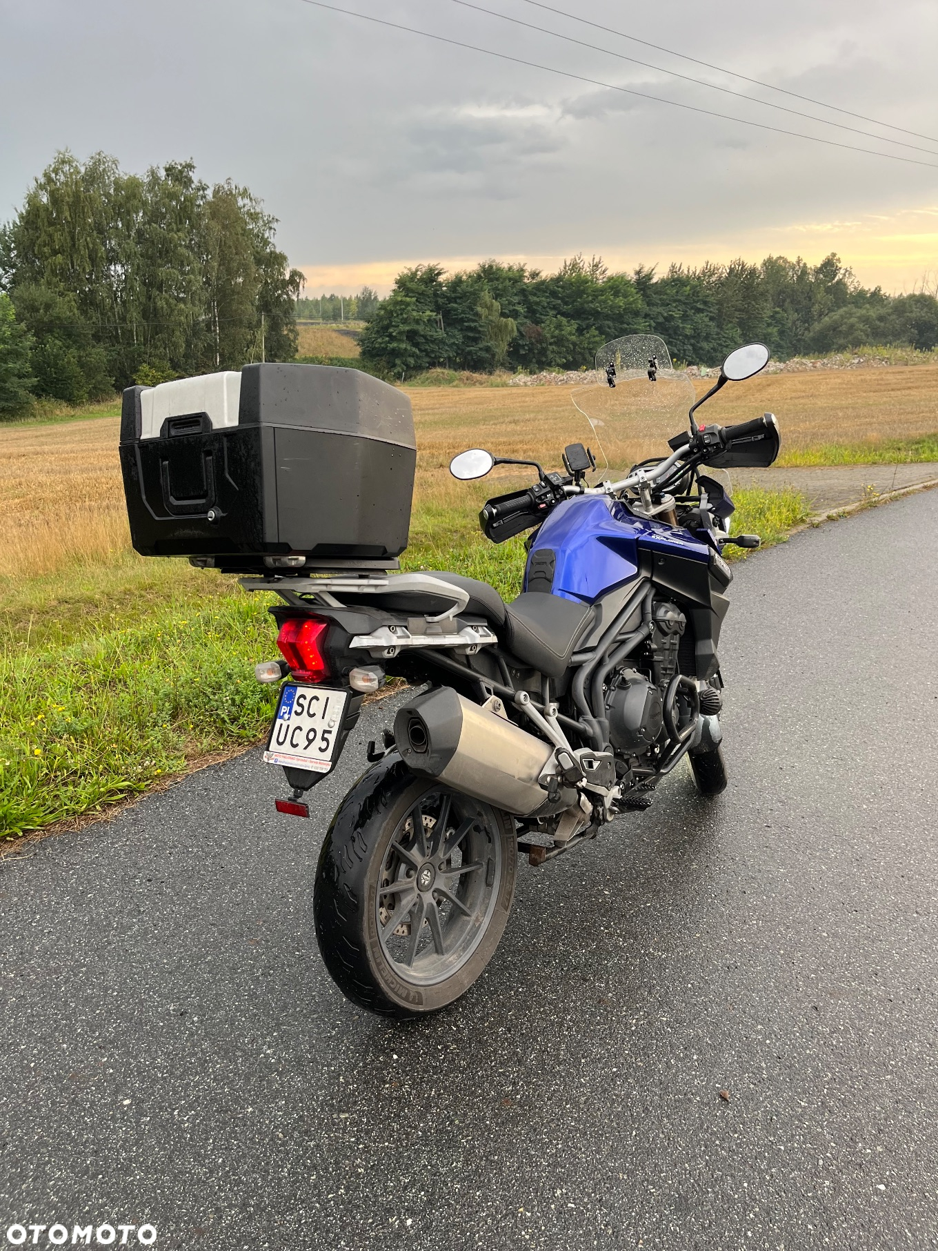 Triumph Tiger - 6