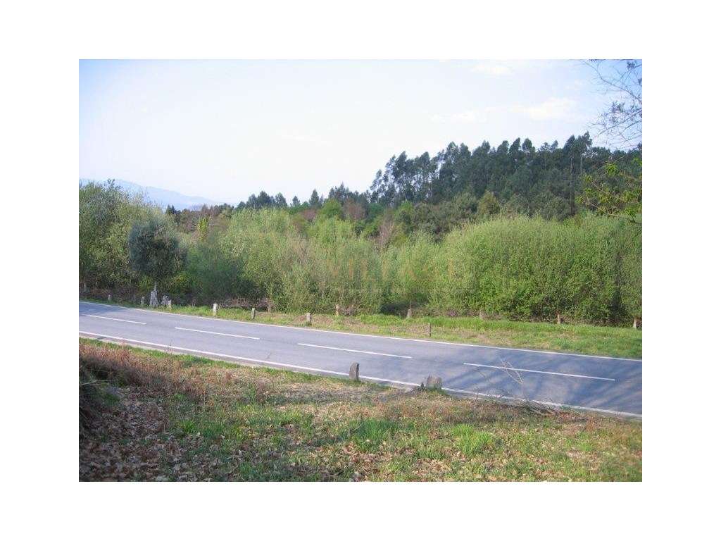 terreno - Grande imagem: 4/4