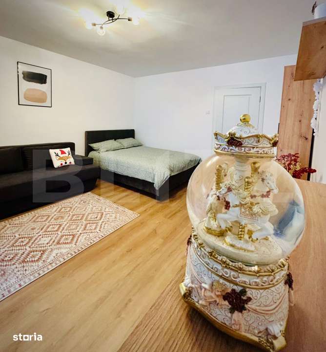 Garsoniera renovata si mobilata-utilata, 31 mp, Brazda lui Novac-0