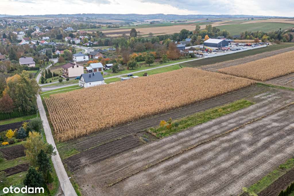 Kompleks działek z WZ - Niżatyce gm. Kańczuga - Pełny obrazek: 4/11
