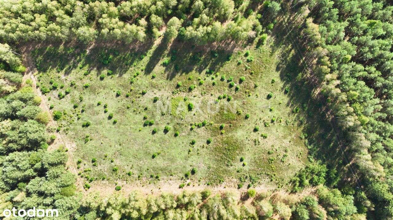 Malownicza działka w otulinie Parku Bolimowskiego - Pełny obrazek: 4/18