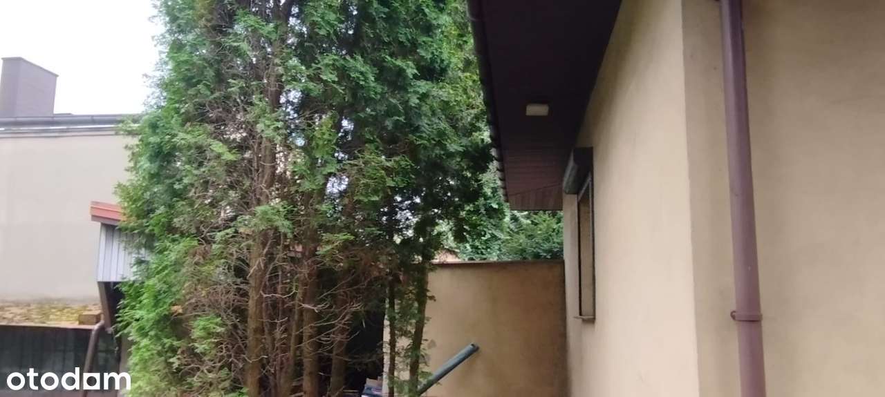 Nieruchomość z potencjałem inwestycyjnym - Pełny obrazek: 4/7