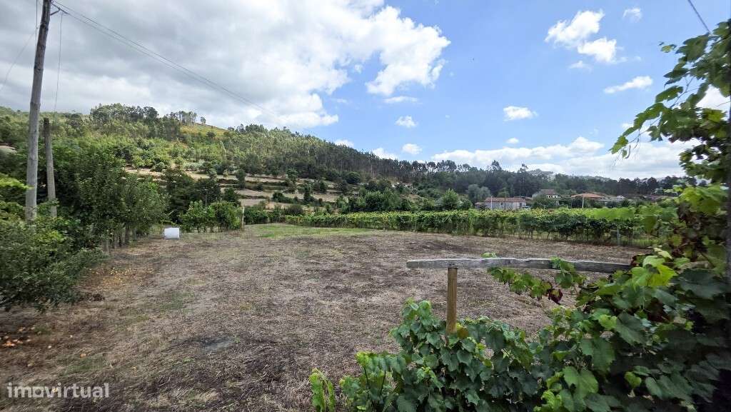 Terreno - Mosteiro - Grande imagem: 4/6