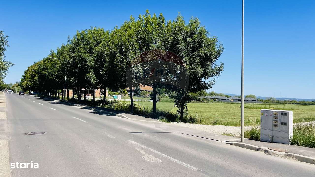 Teren intravilan 10.000 mp în Stupini, Brașov - Imagine principală: 3/9