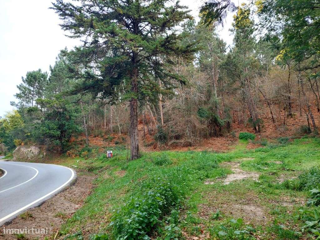 Terreno - Geraz do Minho - Grande imagem: 2/7