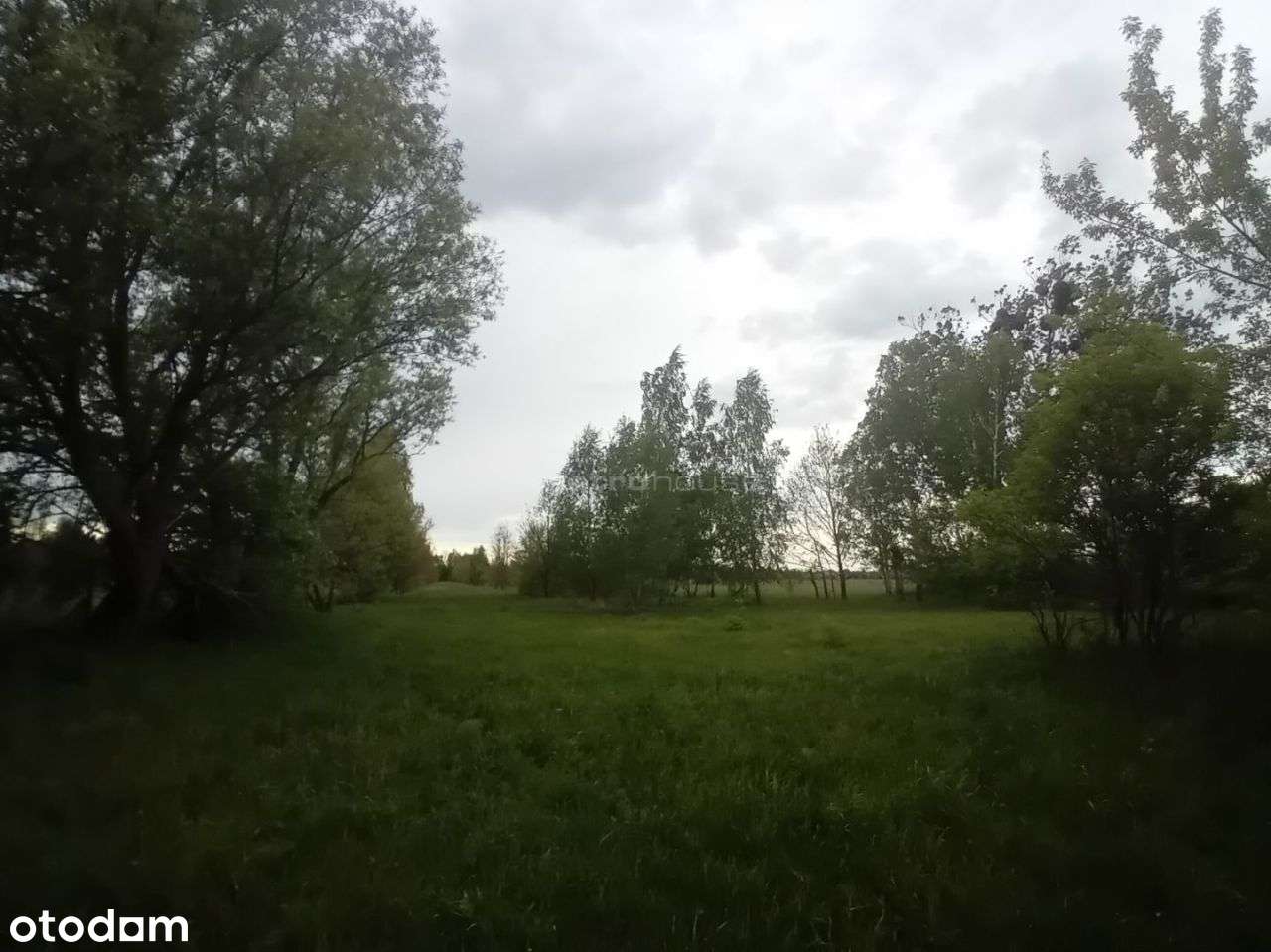 Działka, 873 m², Sowia Wola - Pełny obrazek: 4/5