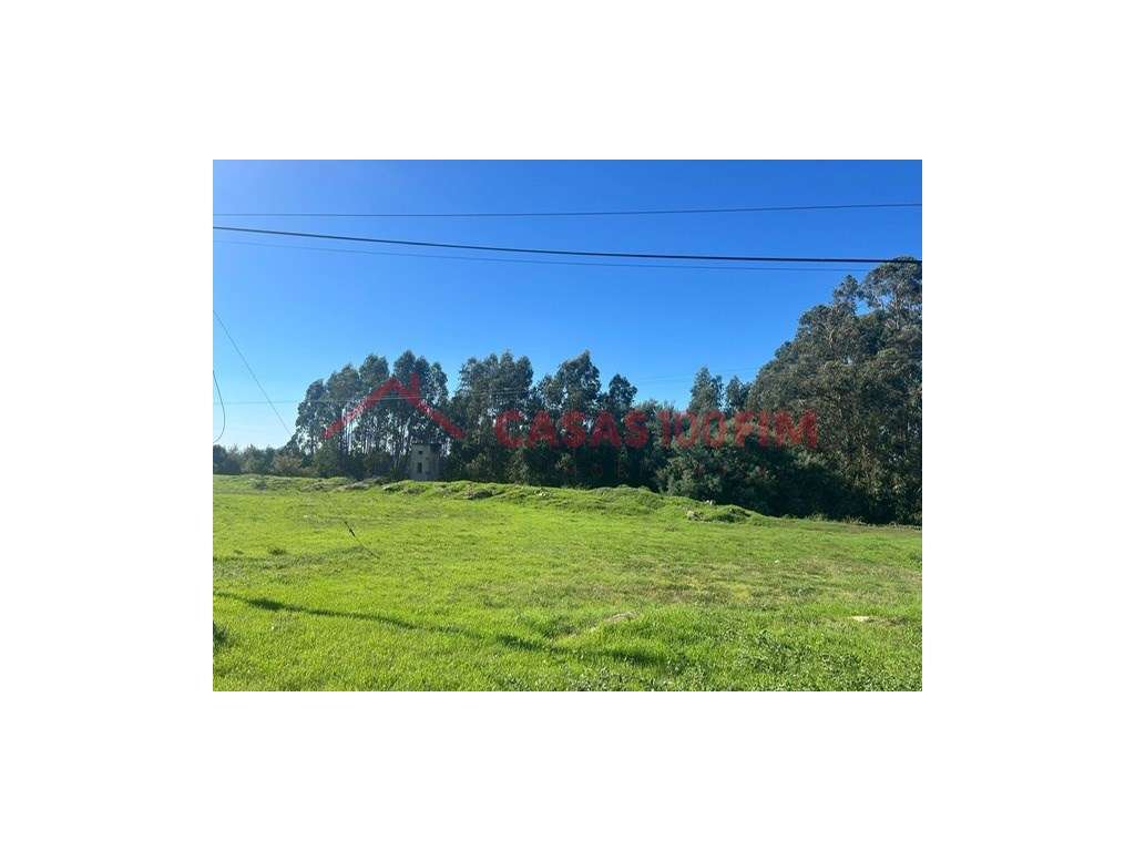 Terreno com 5404m2 para construção em Oliveira de Azemeis. - Grande imagem: 4/9