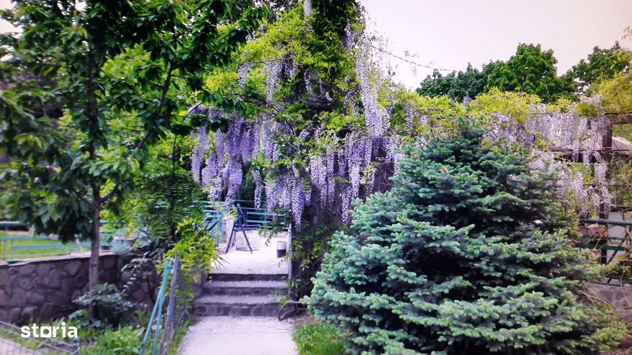 VILA SAFTICA individuala-2