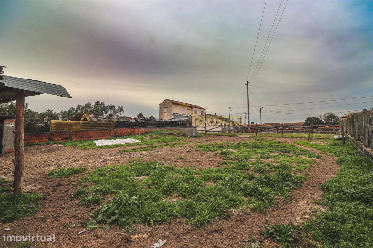 Terreno com 2.500m2 em AVANCA - Grande imagem: 4/27