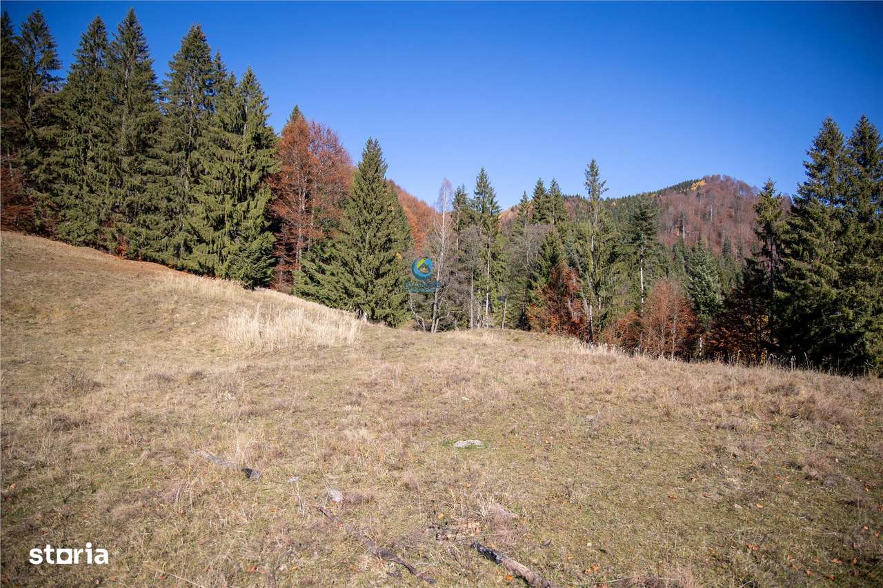 Teren de Vis langa Siriu  – 20000 mp ideal pentru Complex turistic Com-19