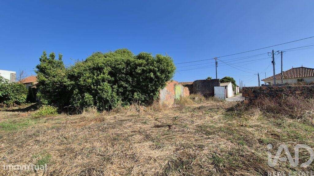 Terreno em Porto de Mós - São João Baptista e São Pedro de 7640,00 m2 - Grande imagem: 4/6