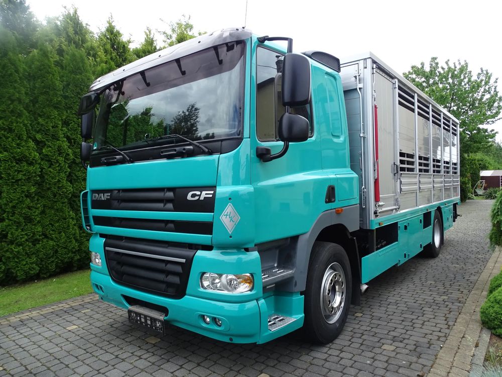 DAF CF 2009