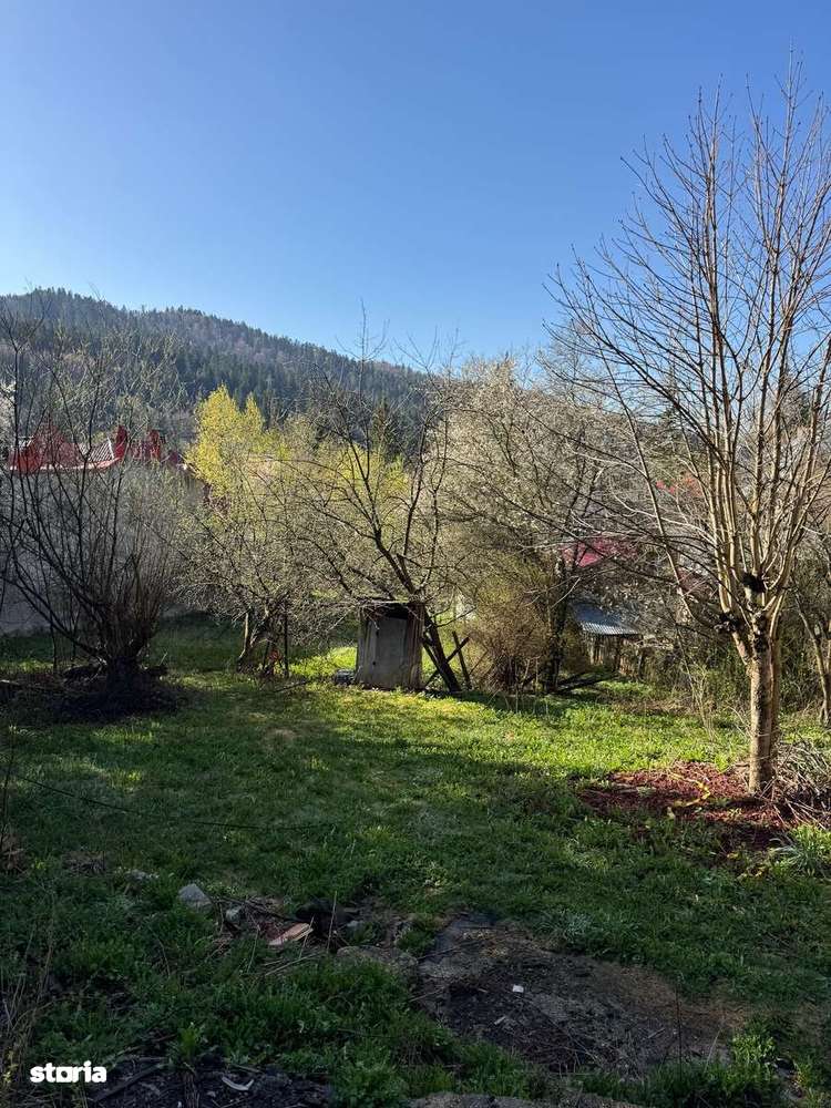 Teren Predeal Central - Imagine principală: 2/5