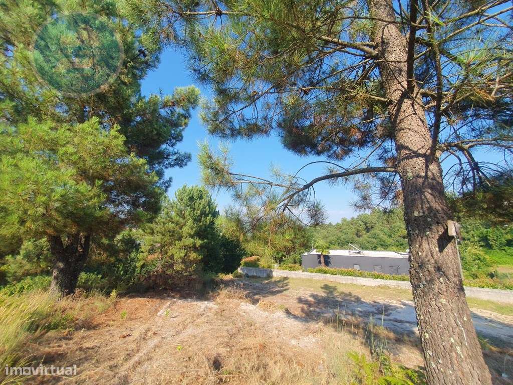 Terreno Construtivo de 1200m² 
Localização: Sra. de Fátima- Cabece...-5