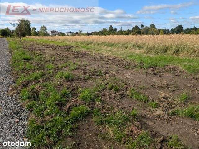 Ciągowice – działka blisko lasu i nowej zabudowy-13