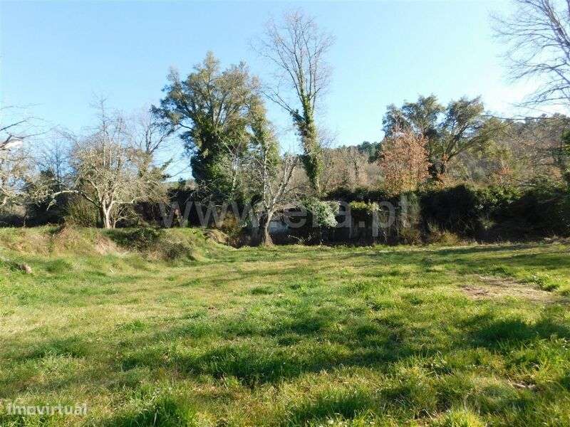 Terreno Rústico / Fundão, Alcaide - Grande imagem: 4/11