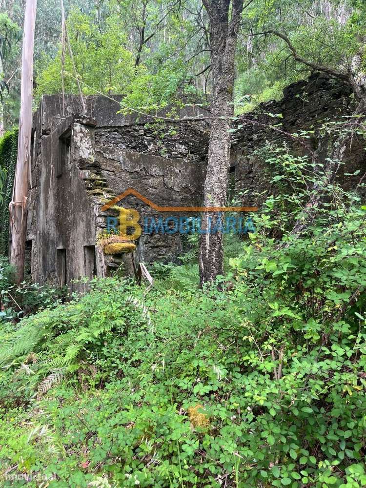 3 moradias em Rio de Frades - Arouca - Grande imagem: 4/21