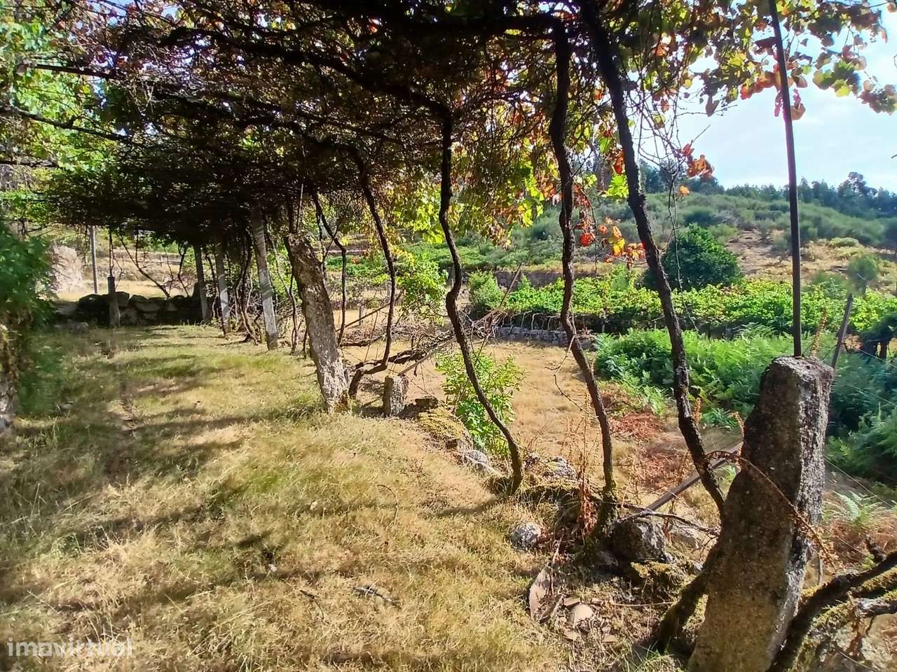 Terreno rústico com casa em pedra para recuperar – Soajo, Arcos de Val-18