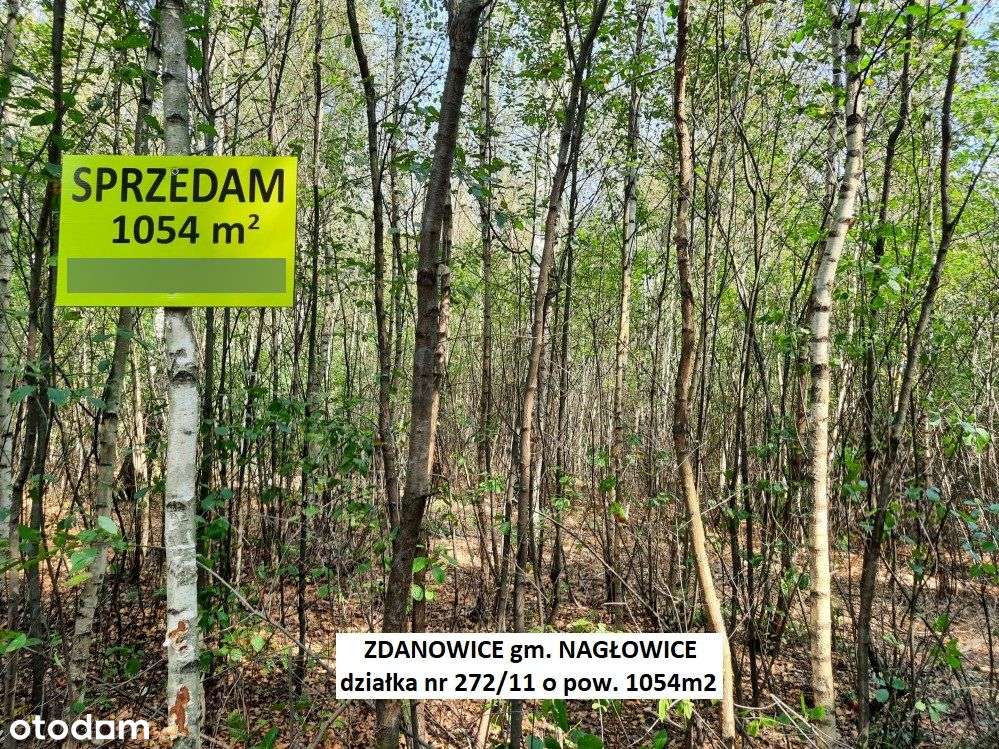 Tania działka rekreacyjna 1054m2 (plan) cena 54.900zł (f-ra 23% VAT)-15