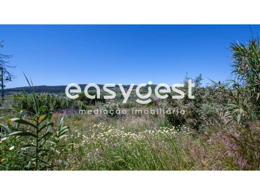 Á-Dos-Loucos, Terreno misto com viabilidade construção de moradias - Grande imagem: 4/11