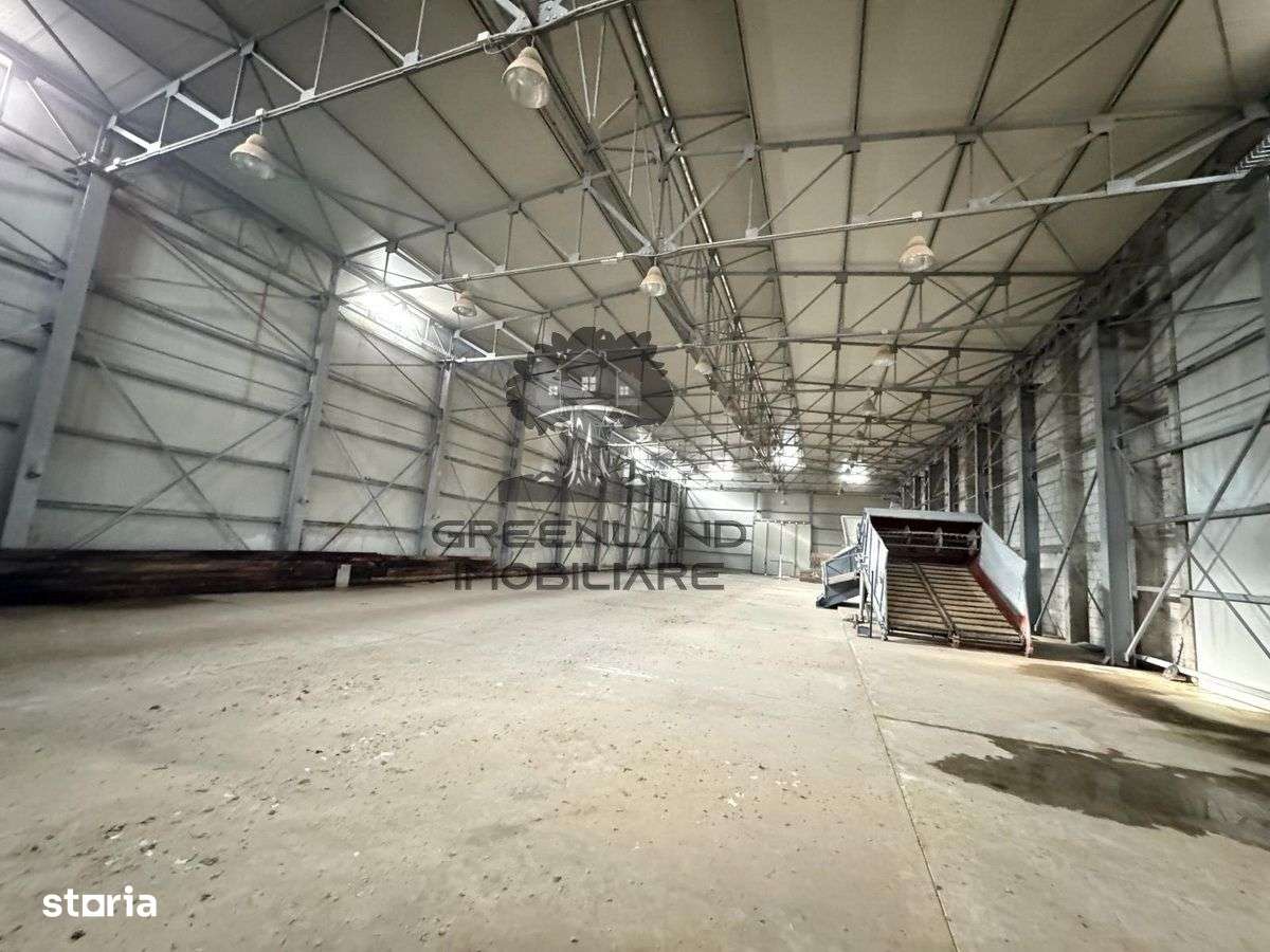 HALA INDUSTRIALA 2000mp + 20.000mp teren, la DN, traf 1000kw, ca noua-8