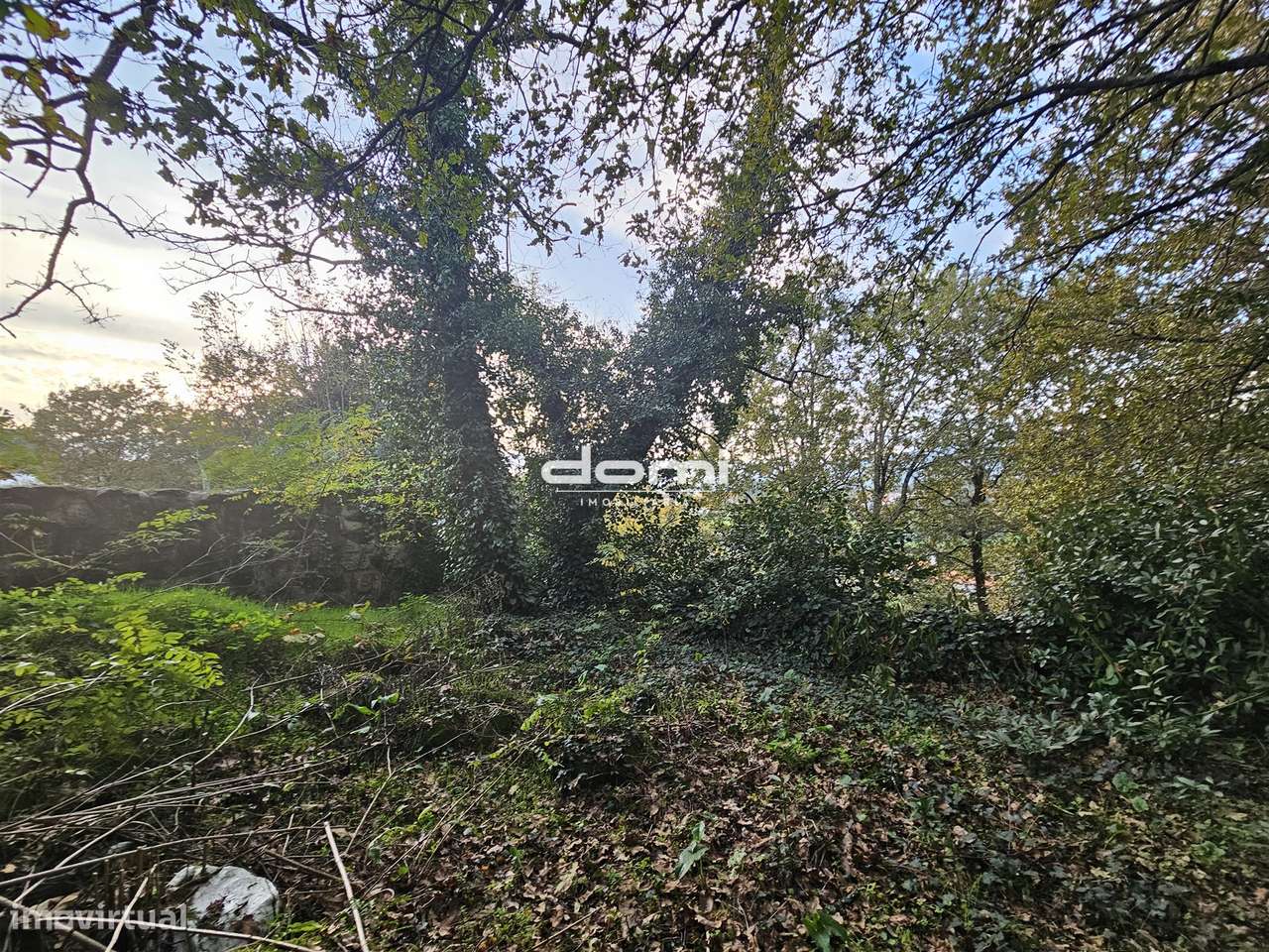 Moradia para reconstrução em Bordonhos, São Pedro do Sul - Grande imagem: 5/10