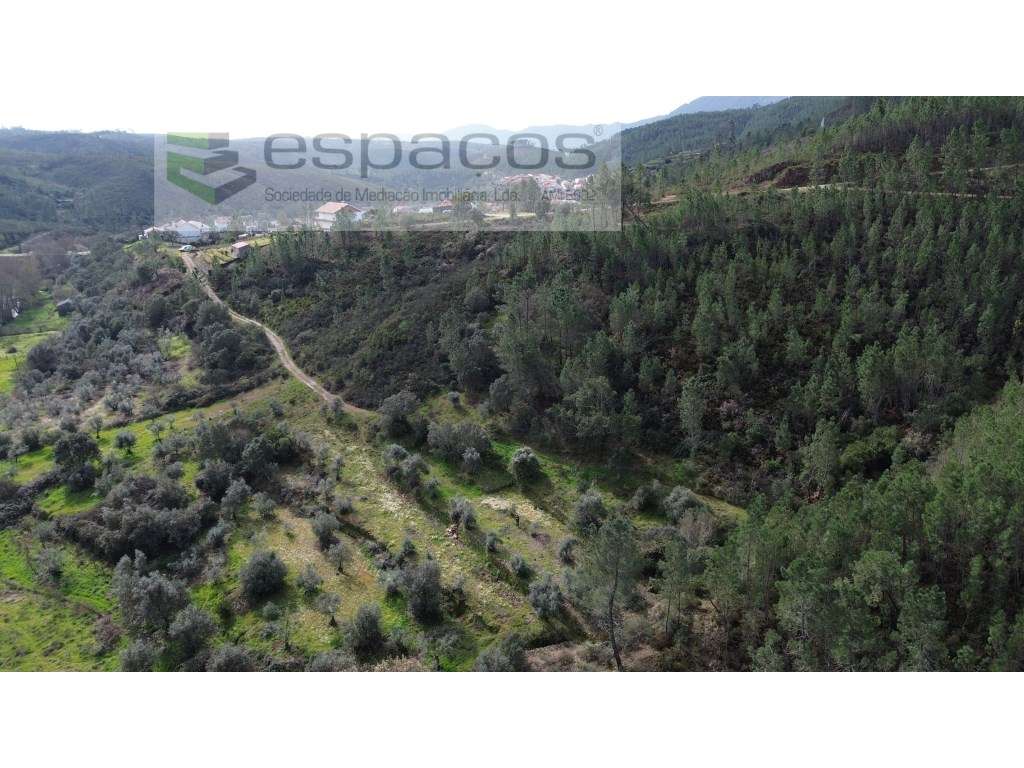 Terreno próximo da Ribeira do Alvito - Grande imagem: 3/6