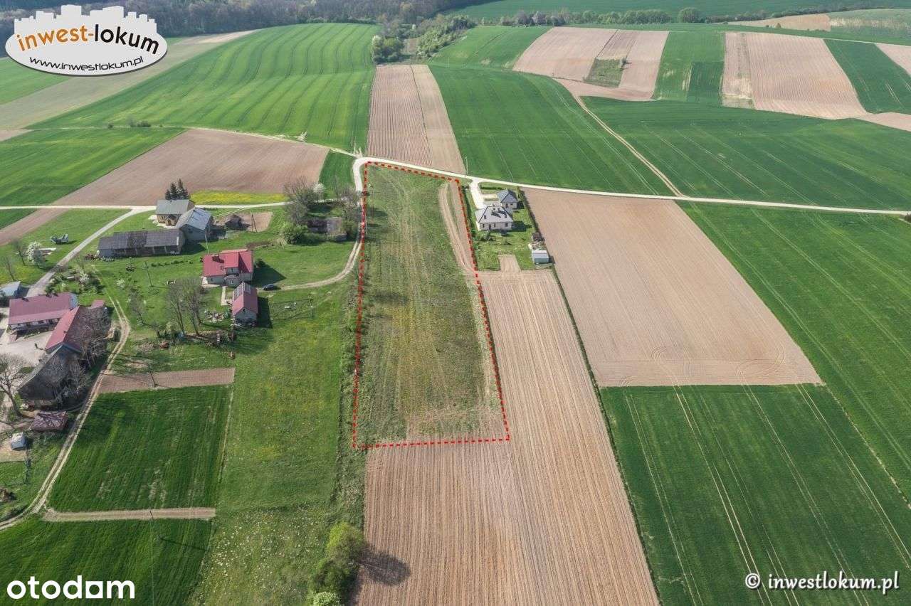 Działka, 8 094 m², Zawadka - Pełny obrazek: 4/6