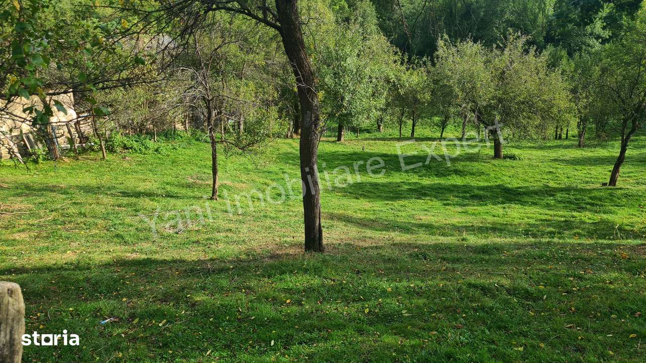 Teren de vânzare în comuna Arefu, județ Argeș.-6