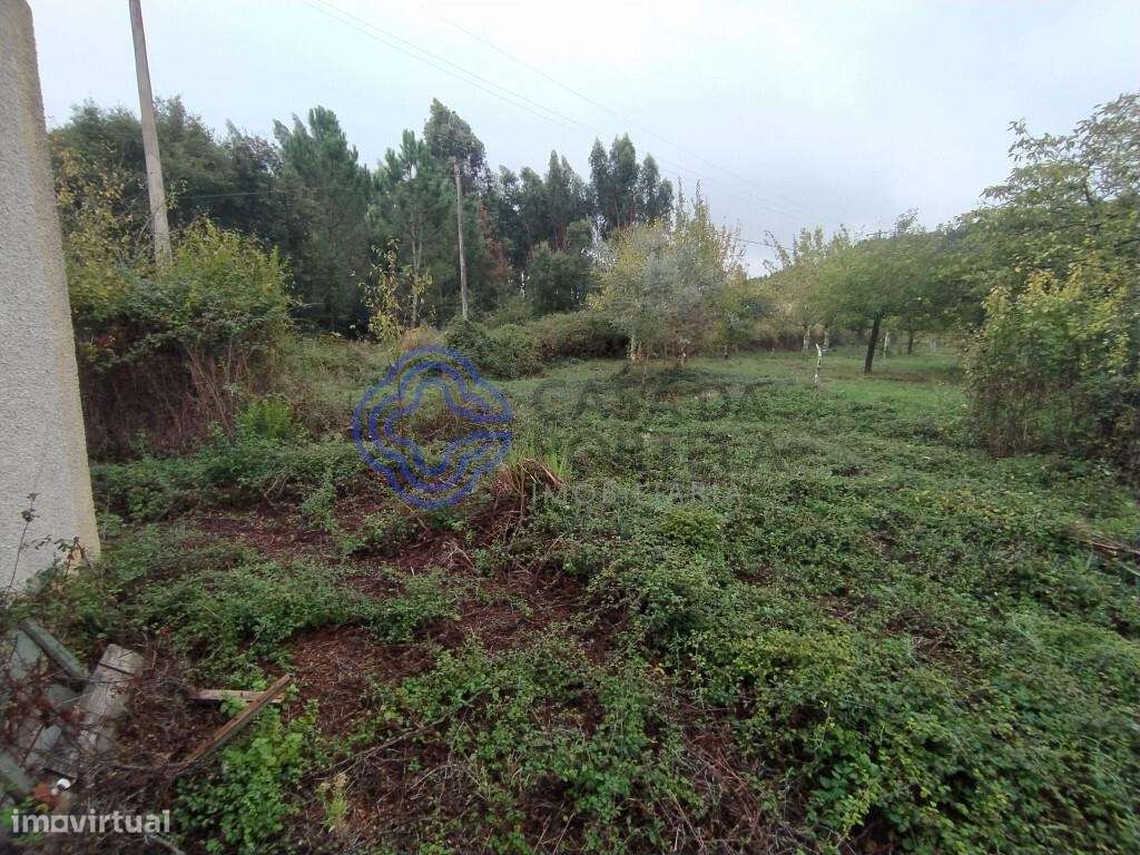 Ruína com logradouro a 10 minutos de Dornes no Centro de Portugal - Grande imagem: 5/12