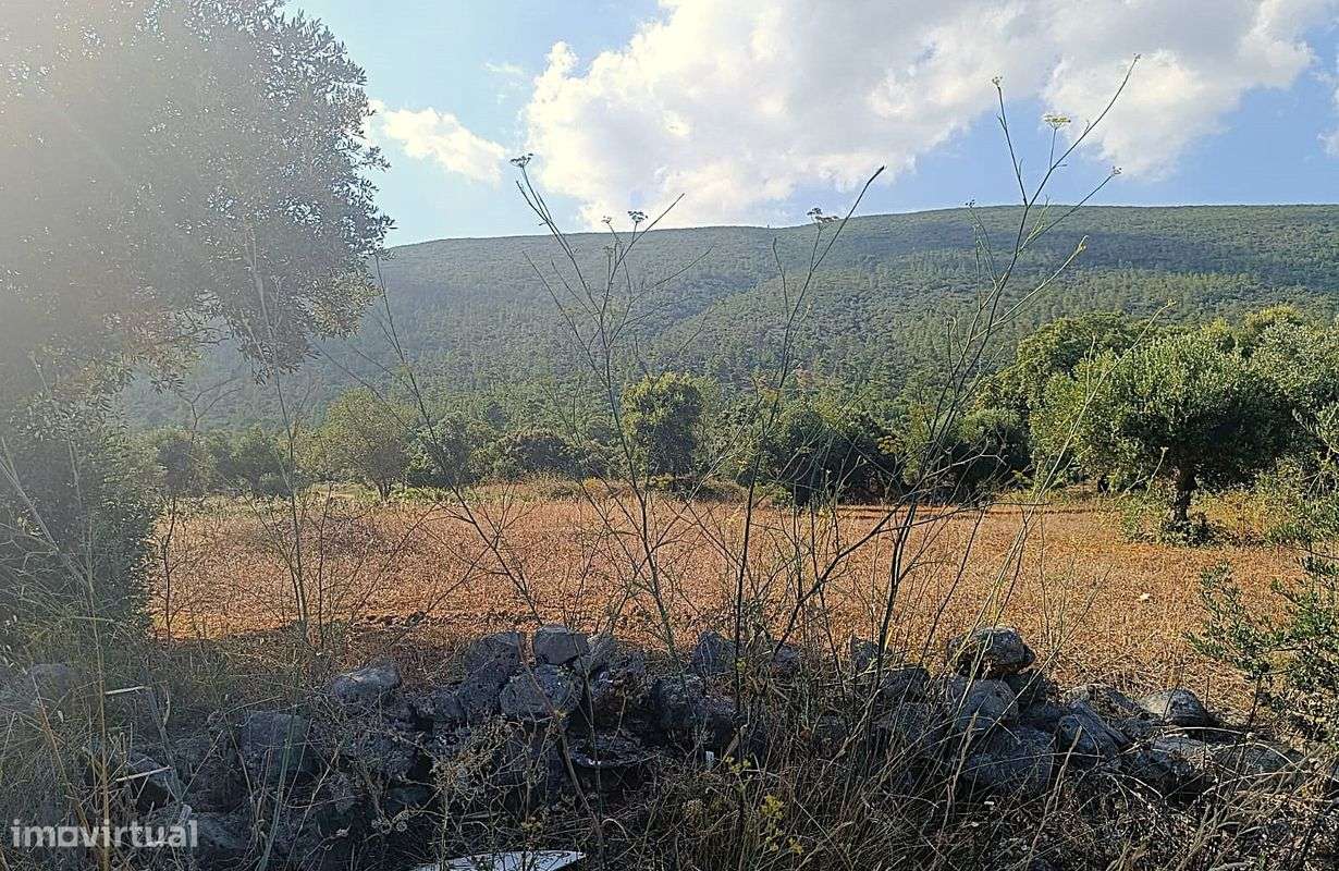 Terreno  para venda - Grande imagem: 5/8