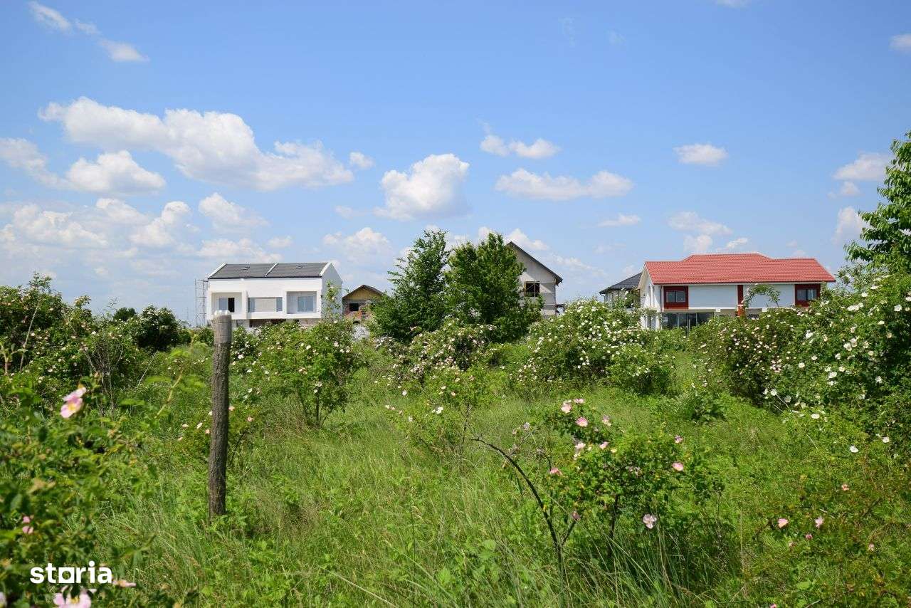 Teren 528 mp DN4 - A0 - Popești Leordeni-4