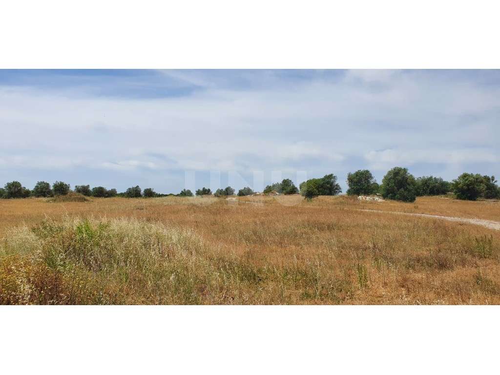 Terreno em Reguengos de Monsaraz-10