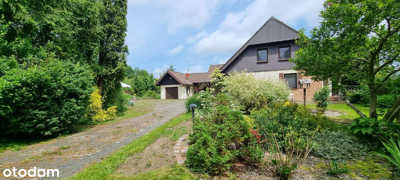 Atrakcyjny teren pod 15 bliźniaków wkomponowanych wśród drzew-14