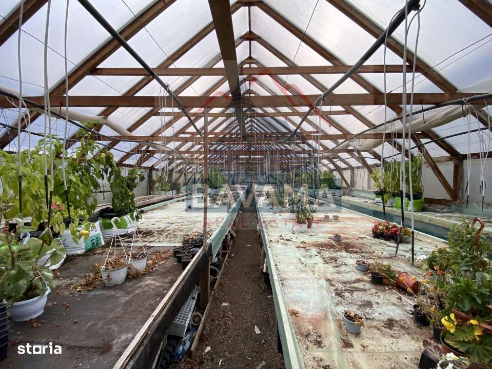 Casa de vanzare,  1354 mp teren,  Tarlungeni-13