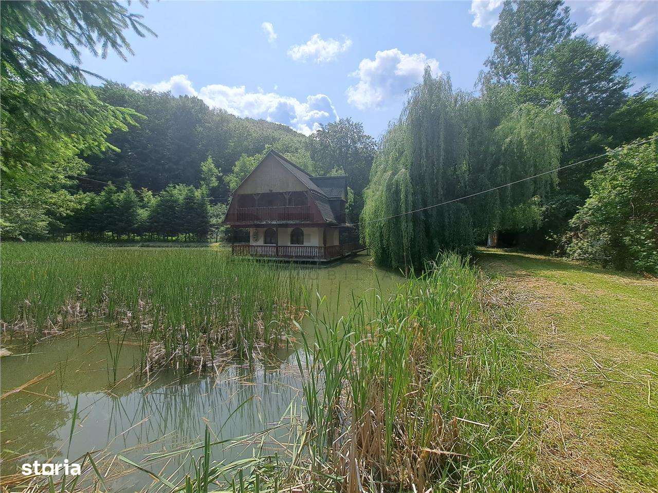 Cabana pe apa in Padurea Neagra - Imagine principală: 4/20