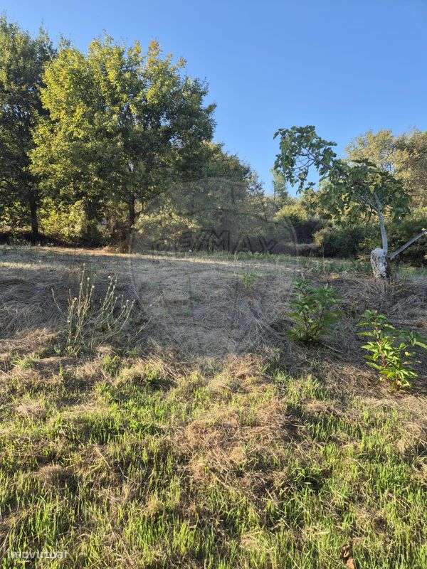 Terreno  para venda - Grande imagem: 5/9