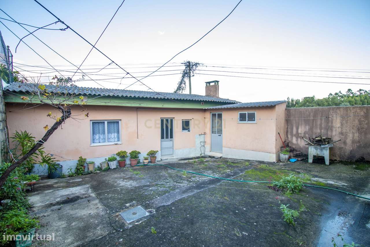 Moradia T3 Isolada com Garagem e Espaço Exterior – Pereira - Grande imagem: 5/31