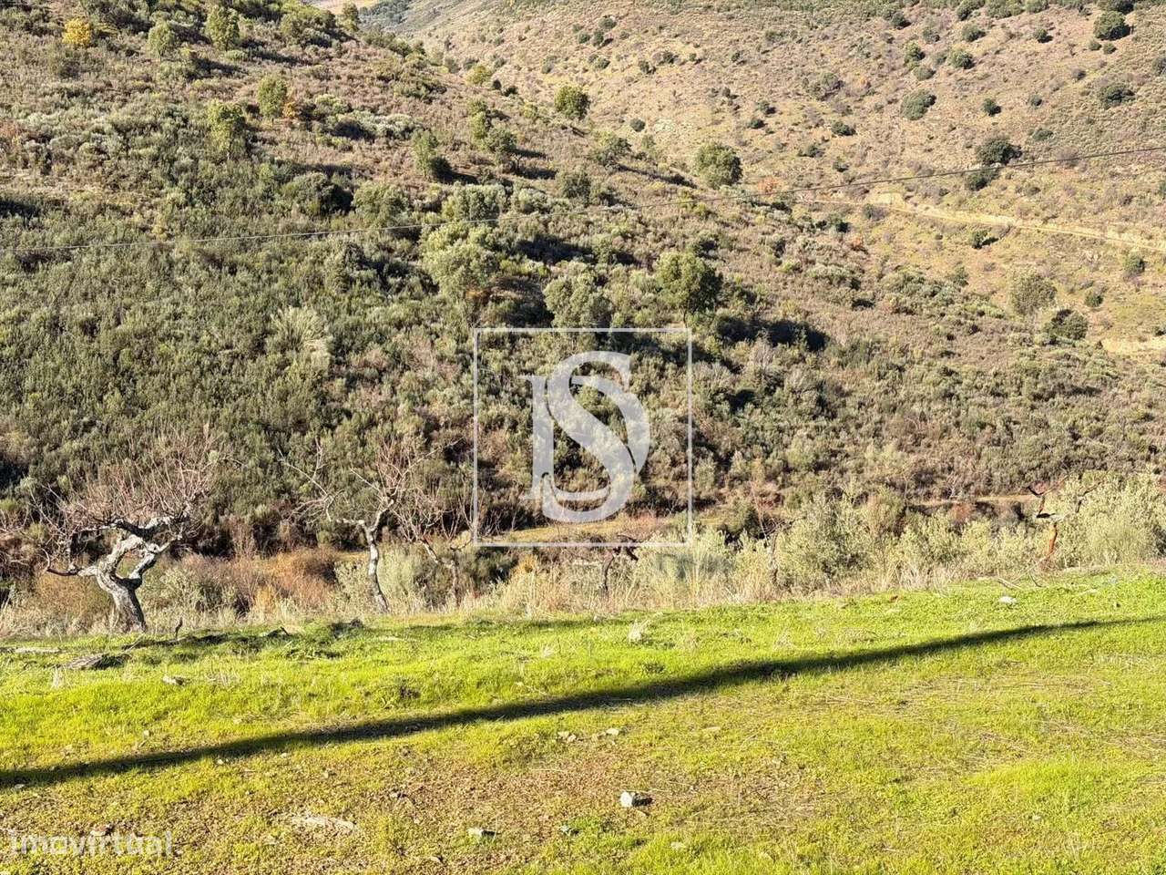 Quinta no Alto Douro | Propriedade com 20 Ha | Elevado Potencial de Va - Grande imagem: 4/32