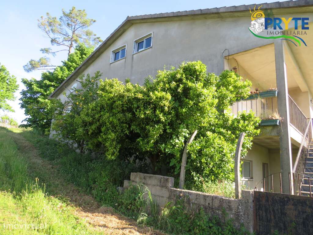 Quinta situada próxima de Figueiró dos Vinhos - Grande imagem: 4/60