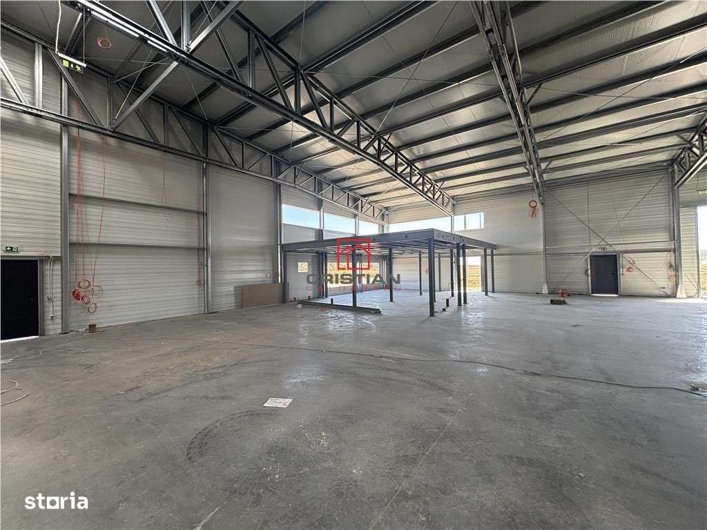 Vanzare depozithalaspatiu industrial Mogosoaia - Buftea - Imagine principală: 4/13