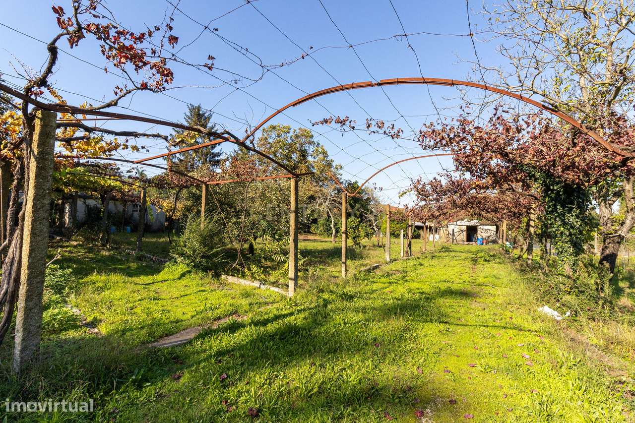 Quinta Clássica no Coração de Santo Tirso – Século XIX - Grande imagem: 5/60